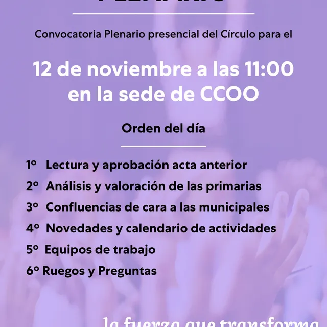 Convocatoria Plenario 12 noviembre