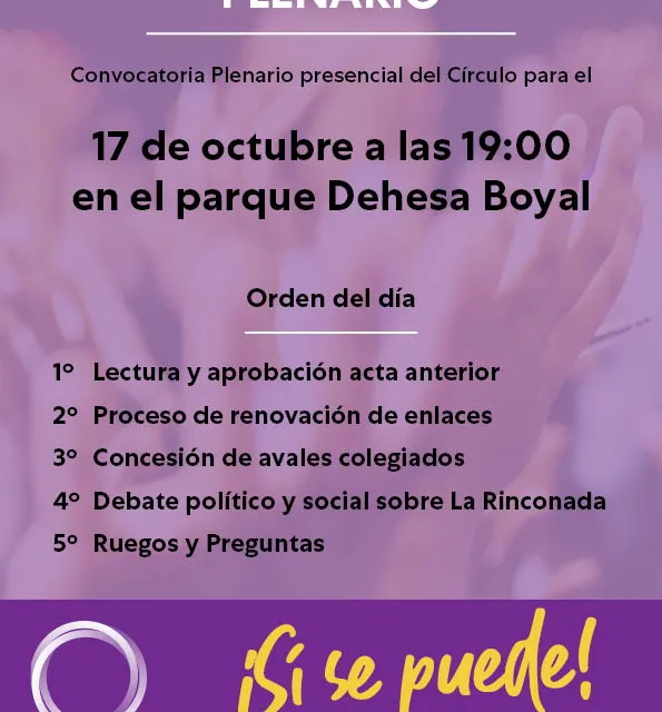 Convocatoria Plenario 17 octubre